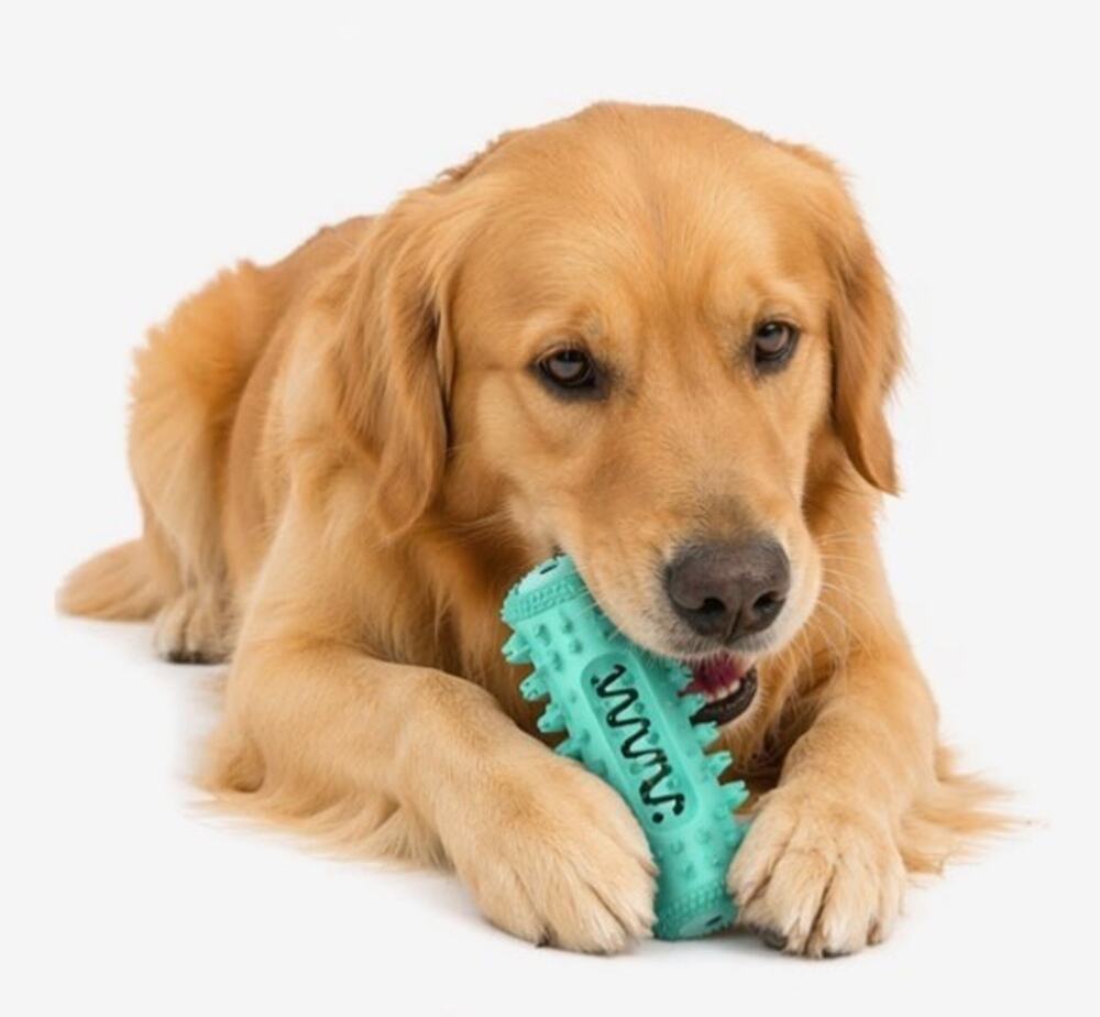 Squeaky chew stick dog toothbrush for dogs medium & Large toy TPR durable